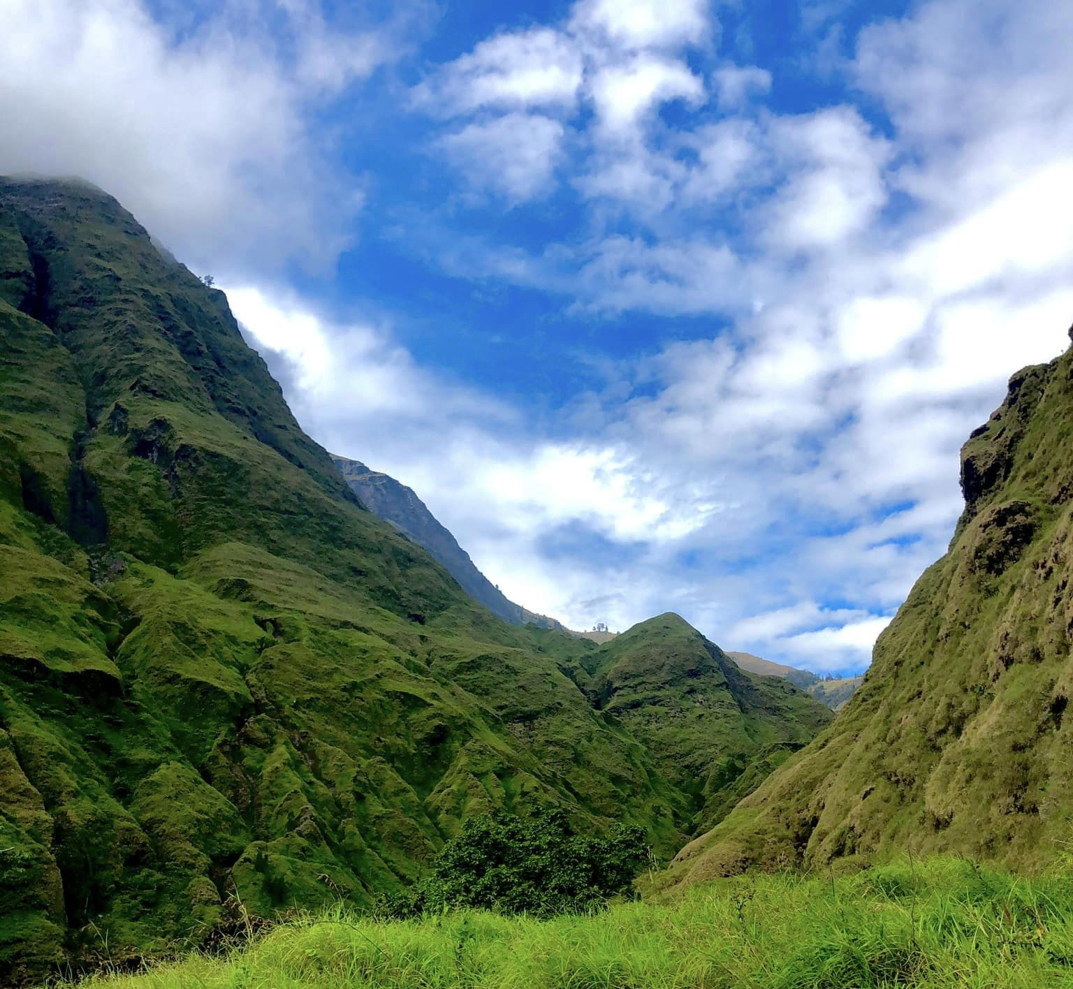 Rinjani torean valley