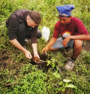 Planting a Tree on Mount Rinjani