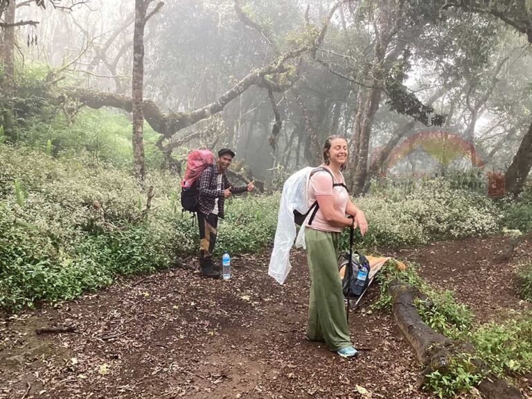 Senaru Forest Trail