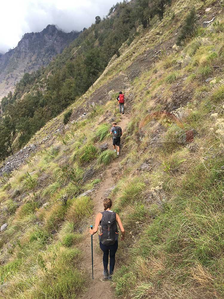 Ascent from the Lake to Senaru Crater Rim