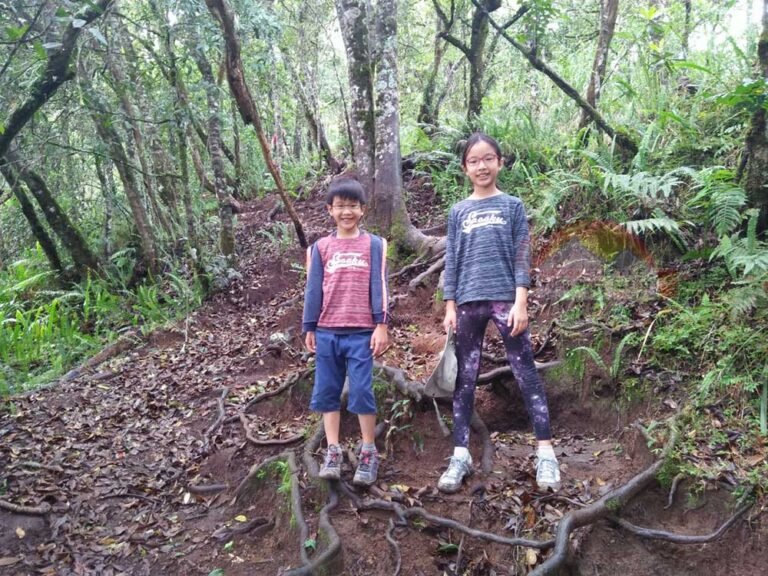 Senaru Forest Trail