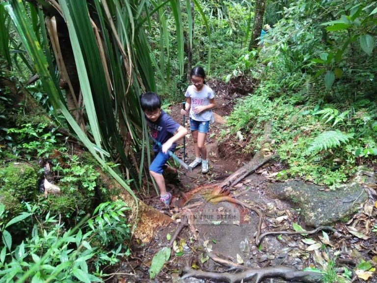Senaru Forest Trail