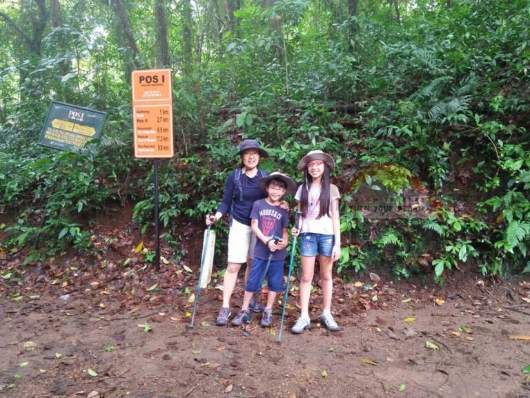 Senaru Forest Trail