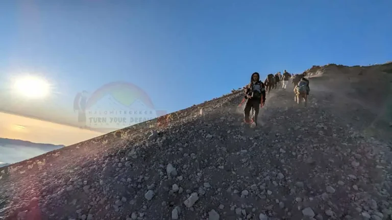 Part to summit