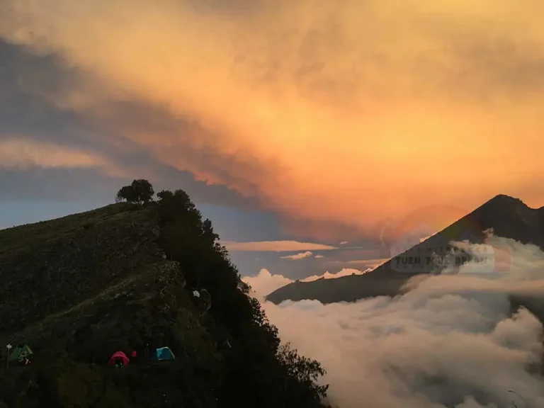 Senaru Crater Rim Campsite