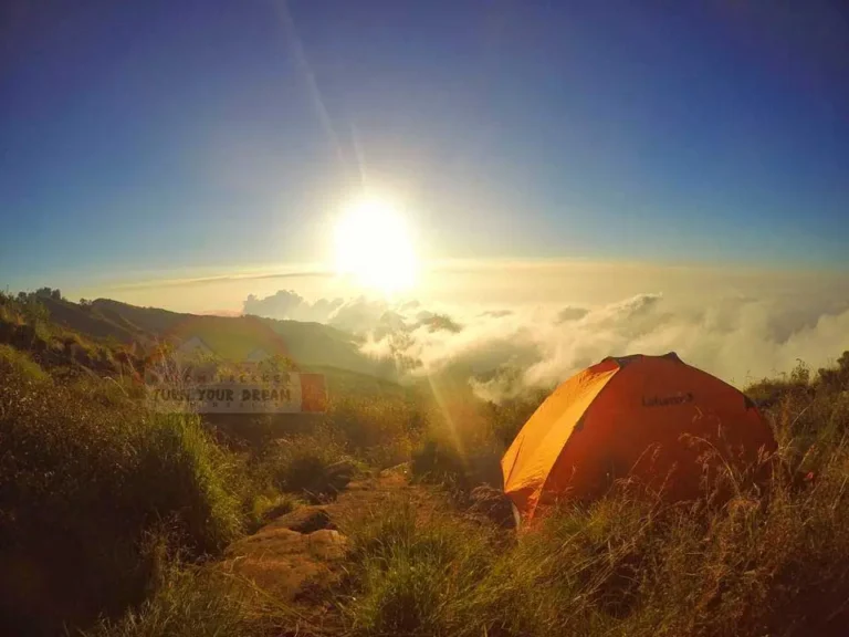 Senaru Crater Rim Campsite