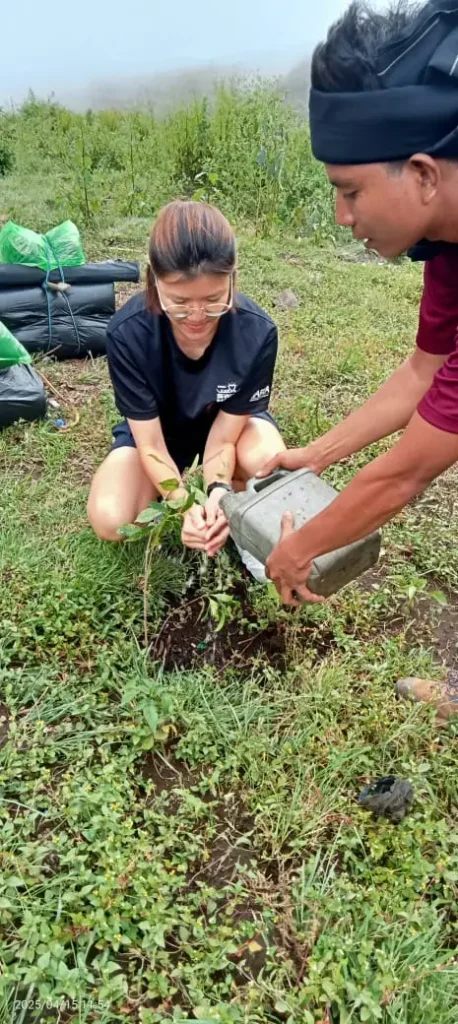 Planting Tree