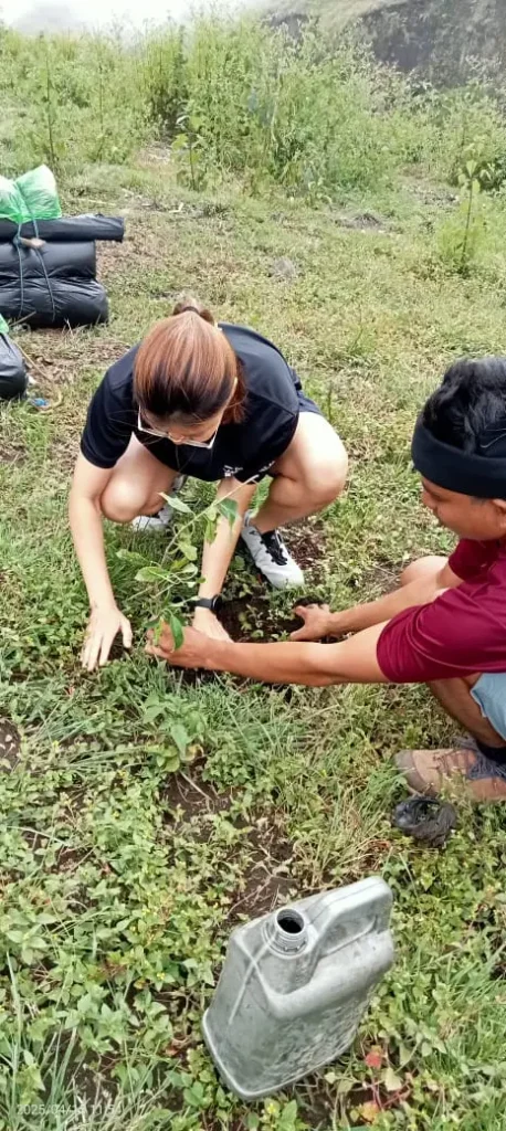 Planting Tree