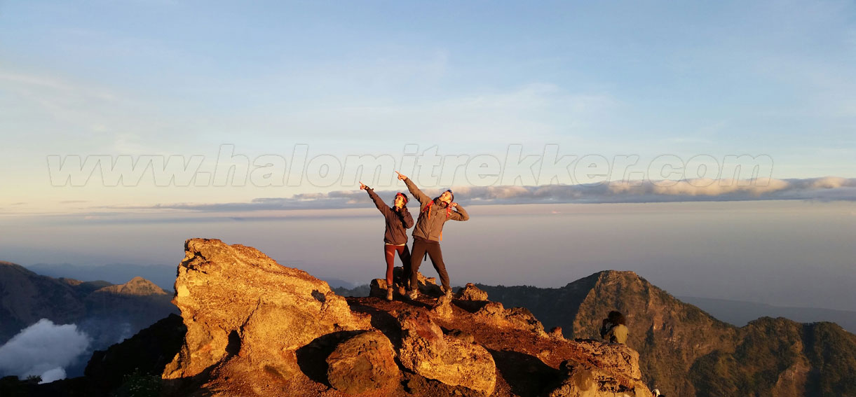 HaLoMi Trekker | Rinjani Trekking