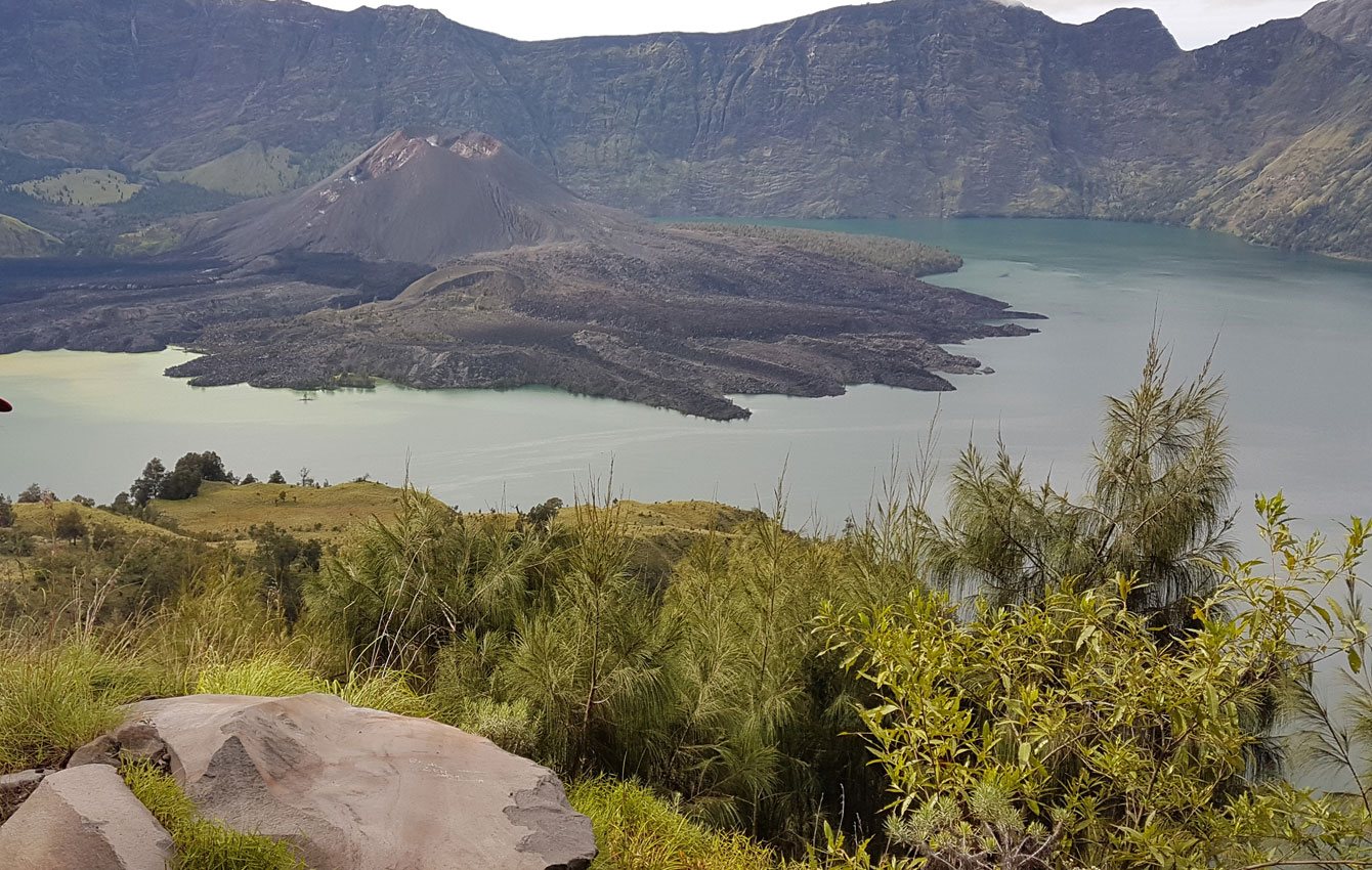 HaLoMi Trekker | Rinjani Trekking